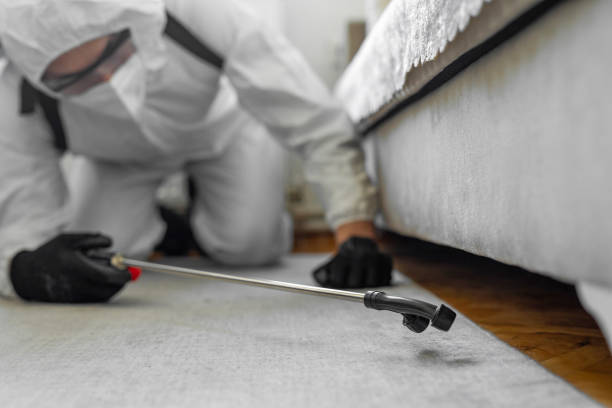 Professional Pest Control technician working in Cedar Park, TX