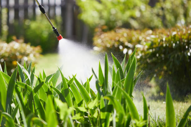 24/7 Emergency Rodent Control experts in Cedar Park, TX