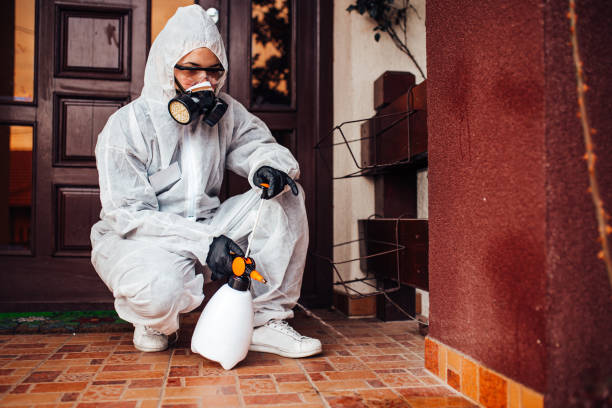 Reliable Rodent Control contractor in Cedar Park, TX by Nex Pest Control