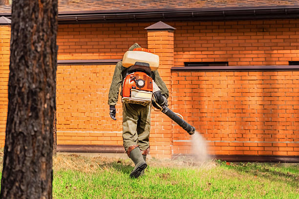 Trusted Rodent Control service in Cedar Park, TX - Nex Pest Control